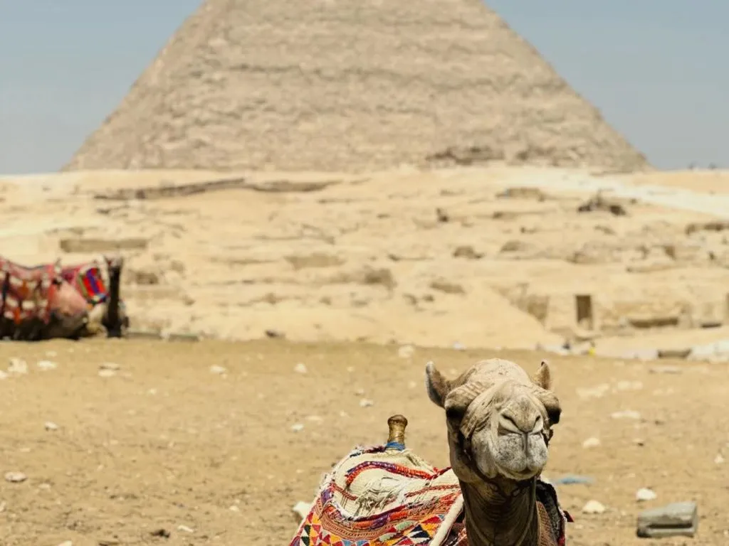 Cairo 1-Day Tour cairo-1-day-tour/FB_IMG_1746354157614.jpg