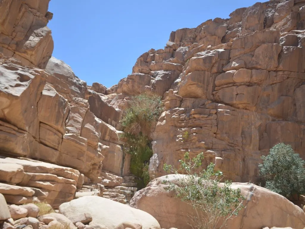 Hiking Tour in Hurghada Full day hiking-tour-in-hurghada-full-day/492703722_1170192625120315_6226245296113359056_n.jpg