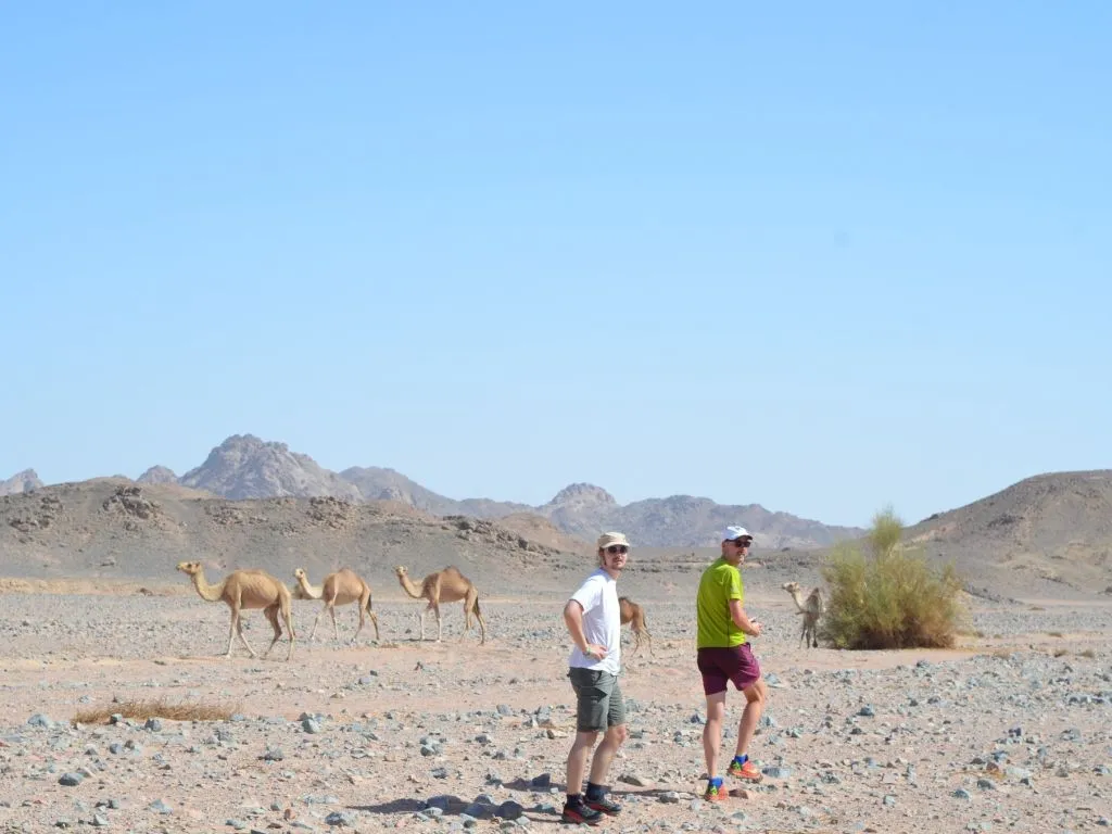 Hiking Tour in Hurghada Full day hiking-tour-in-hurghada-full-day/492723011_1170187111787533_5551196790758567489_n.jpg