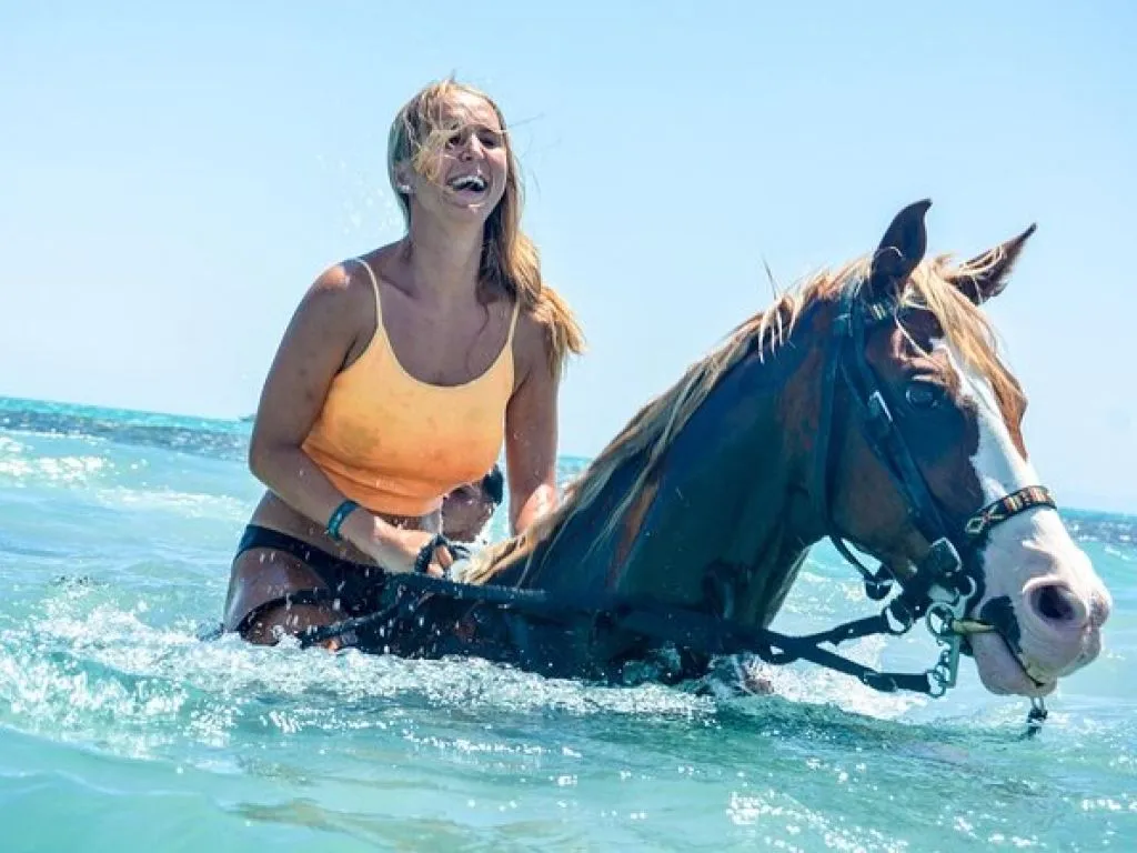 Horseback Riding Tours in Hurghada horseback-riding-tours-in-hurghada/da.jpg