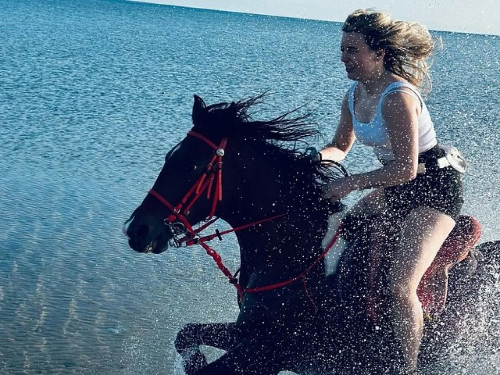Horseback Riding Tours in Hurghada horseback-riding-tours-in-hurghada/db.jpg