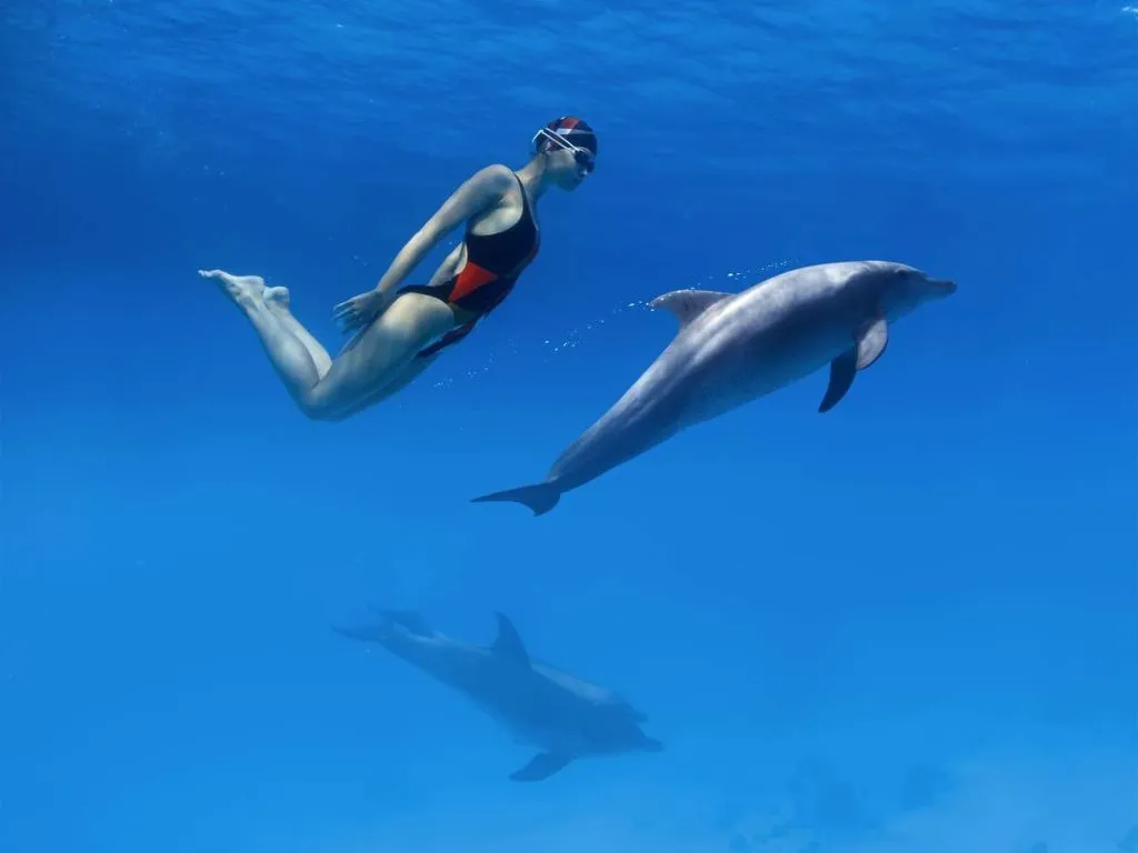 Sataya Dolphin Reef Snorkeling Cruise with Lunch 0b0cda0761a1be44edce779a6aadbf87700bd9bbb4937c62365eac93891211f7.jpg