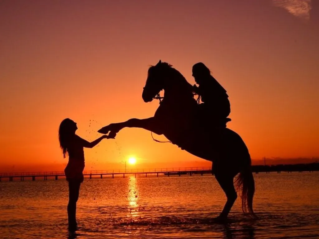 Horseback Riding Tours in Hurghada e9.jpg