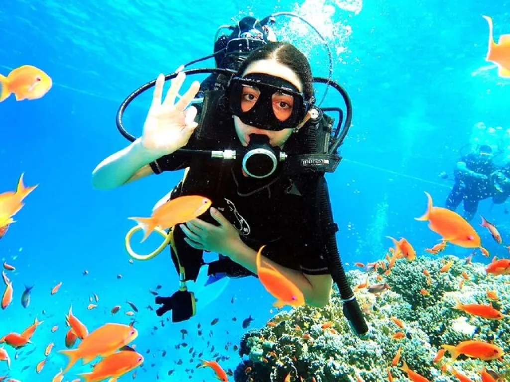 Open Water PADI Diving Course 3 Days open-water-padi-diving-course-3-days/78.jpg