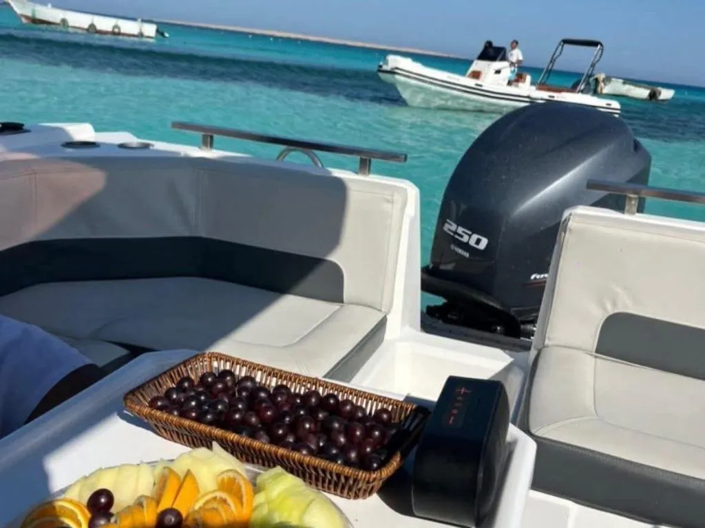 Private Speedboat Adventure private-speedboat-adventure-with-snacks/WhatsApp_Image_2025-09-10_at_01_14_45_(1).jpeg