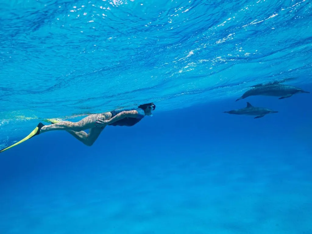 Sataya Dolphin Reef Snorkeling Cruise with Lunch sataya-dolphin-reef-snorkeling-cruise-with-lunch/016c70c0e05e221649f3bc0fce530e550249758e36c1134c0169e09aff5407bd.jpg