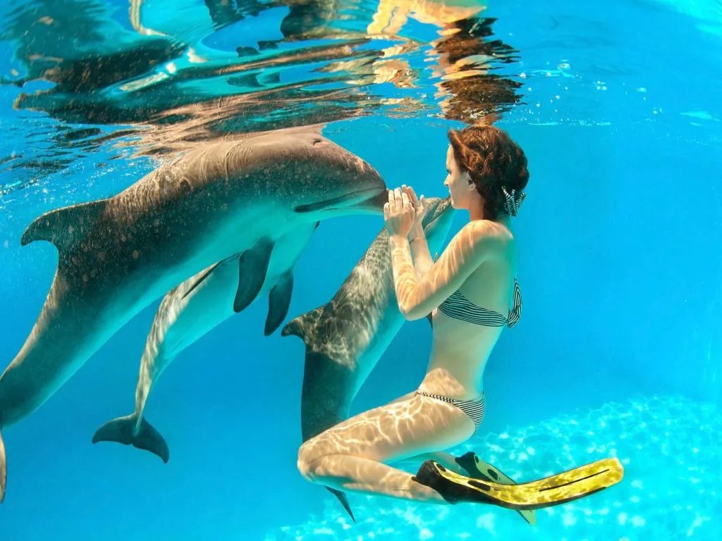 Sataya Dolphin Reef Snorkeling Cruise with Lunch sataya-dolphin-reef-snorkeling-cruise-with-lunch/4be8fe92bf2a744926e35fb181986c460cd81eb9734e58d7d38ce54a12e8fda3.jpg